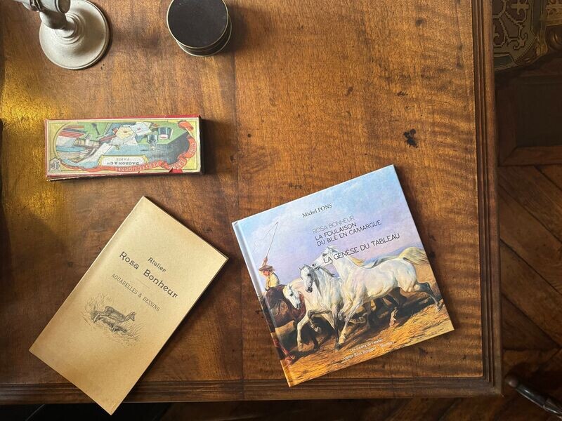 LIVRE - MICHEL PONS - ROSA BONHEUR 
LA FOULAISON DU BLÉ EN CAMARGUE - LA GENESE DU TABLEAU