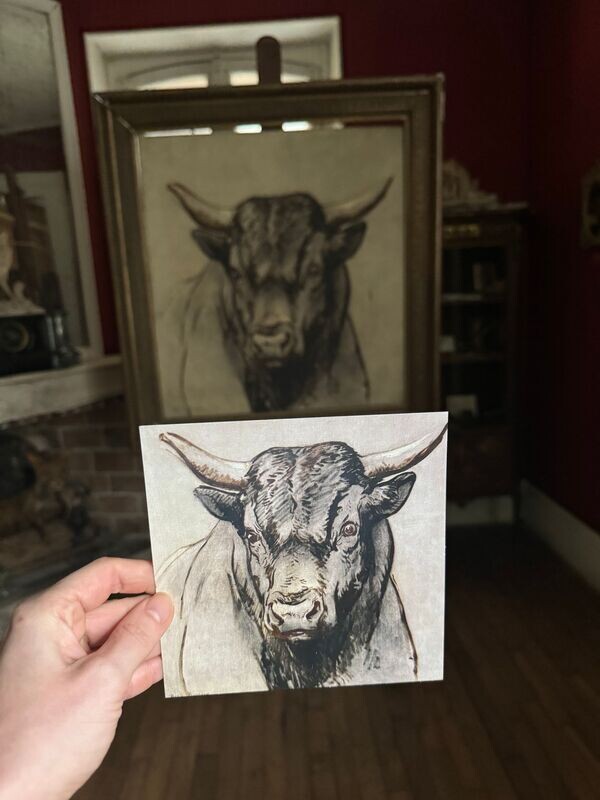 CARTE POSTALE - ROSA BONHEUR - Étude portrait de taureau