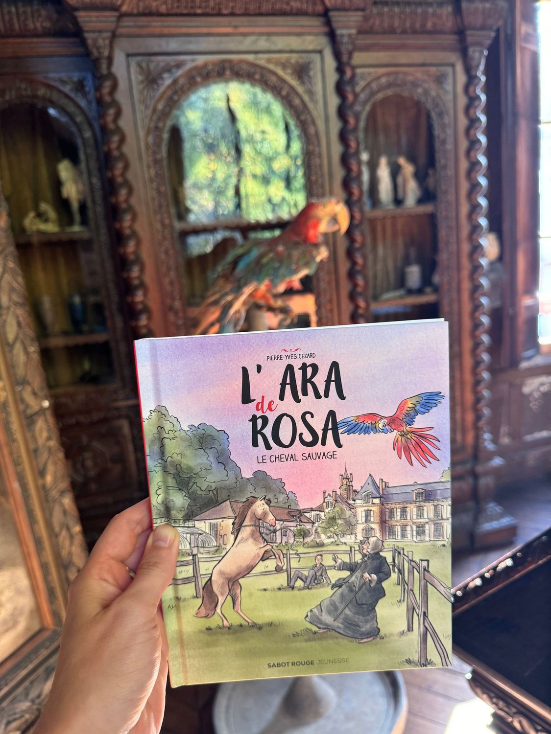 LIVRE - L'Ara de Rosa: Le cheval sauvage