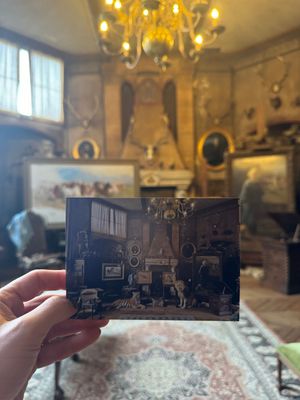 CARTE POSTALE - EXPOSITION LES FAUVES