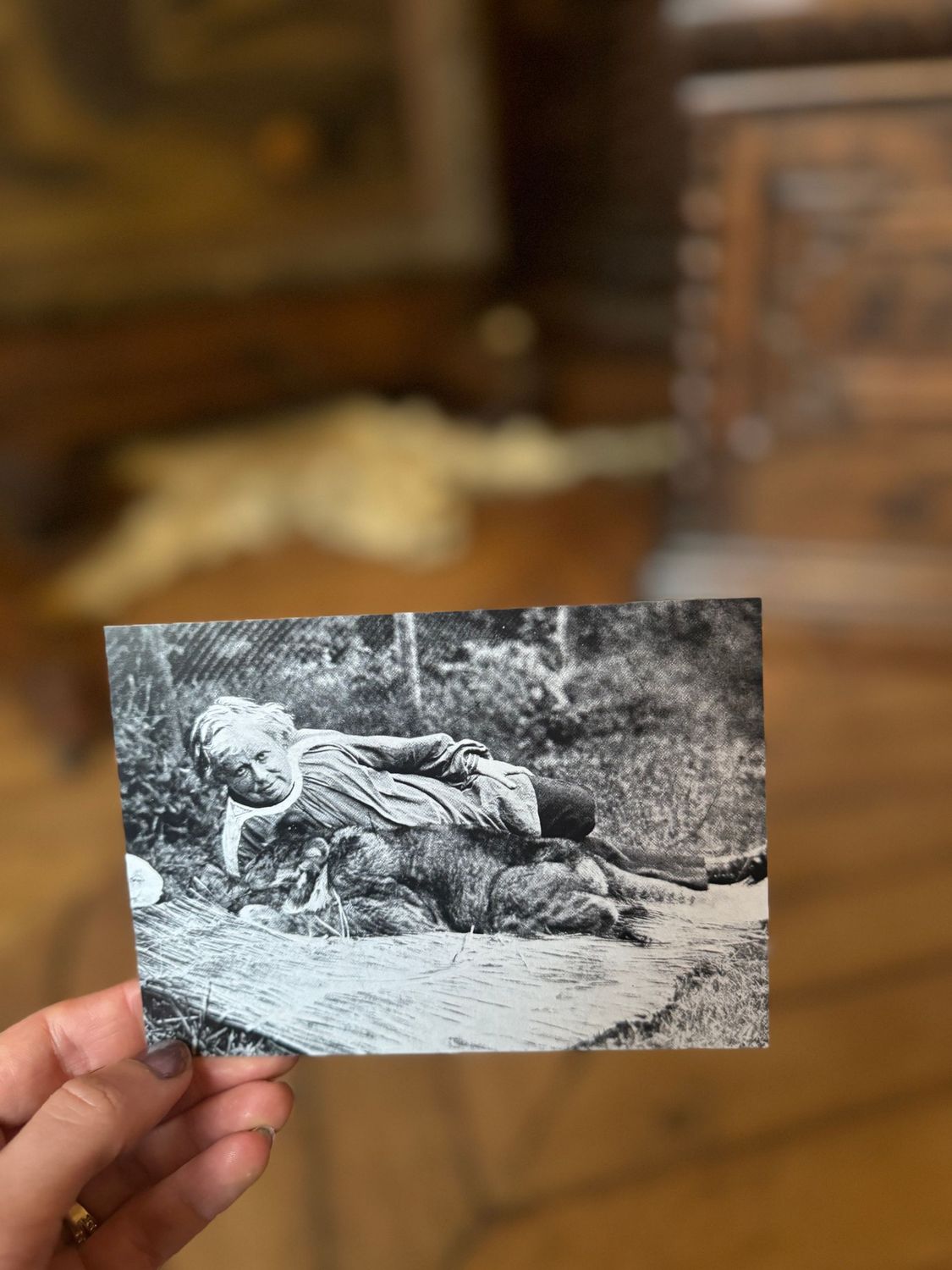 CARTE POSTALE - ROSA BONHEUR et sa lionne