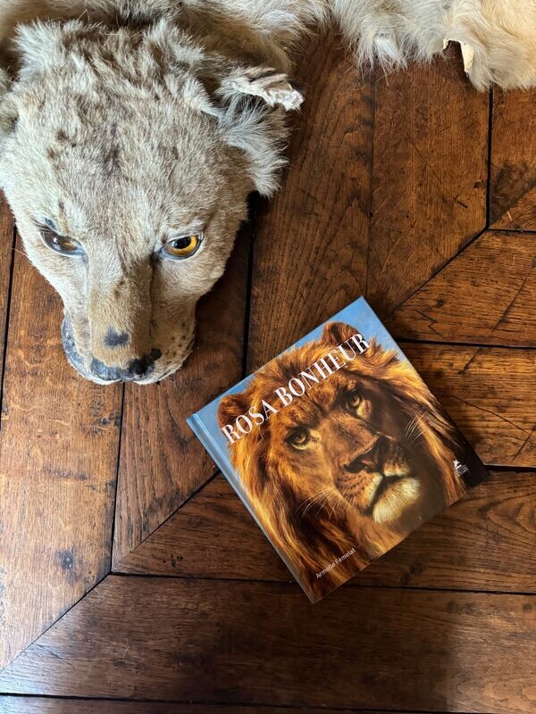 LIVRE - ROSA BONHEUR - Armelle Fémelat