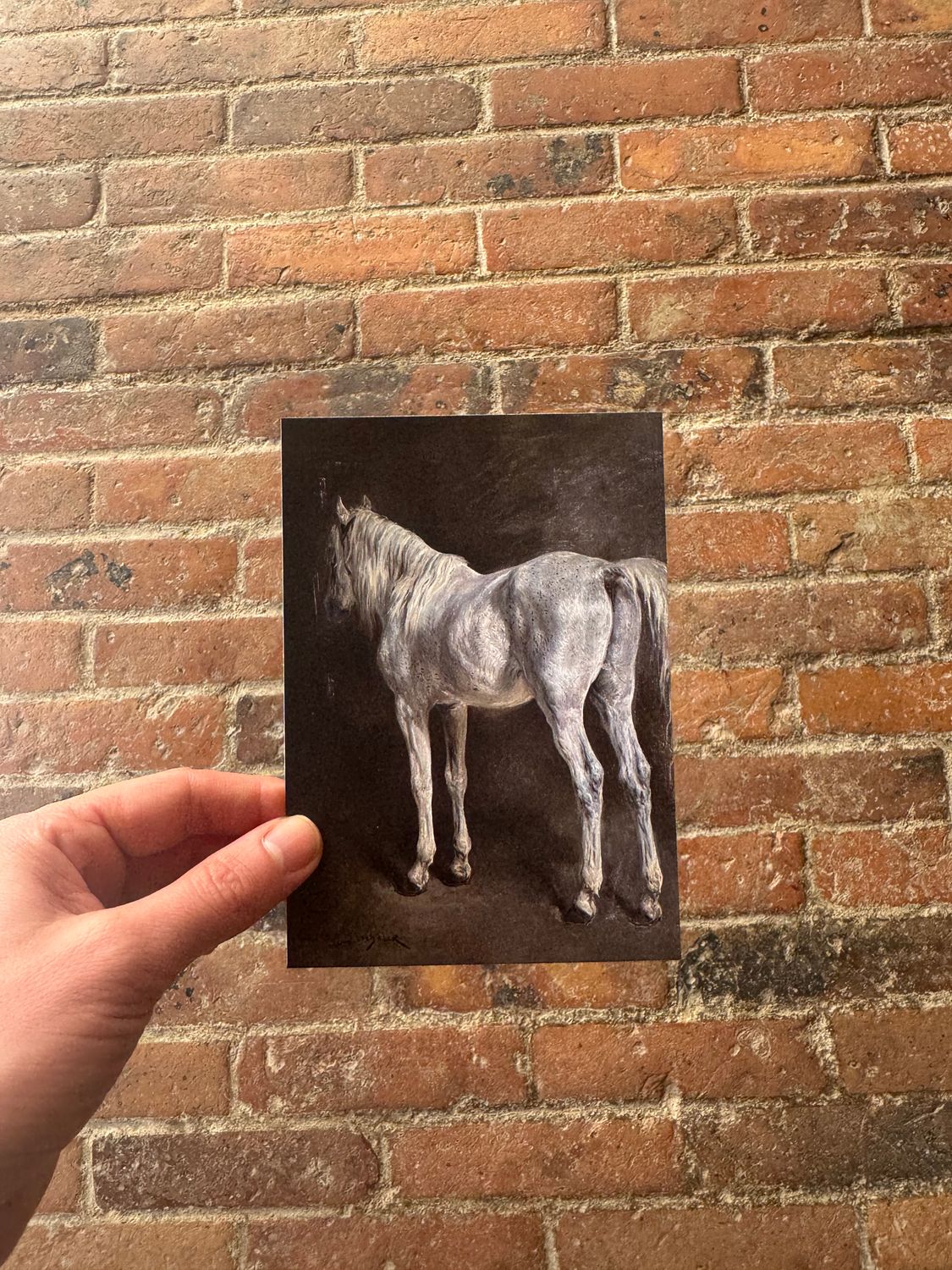 CARTE POSTALE - ROSA BONHEUR - CHEVAL