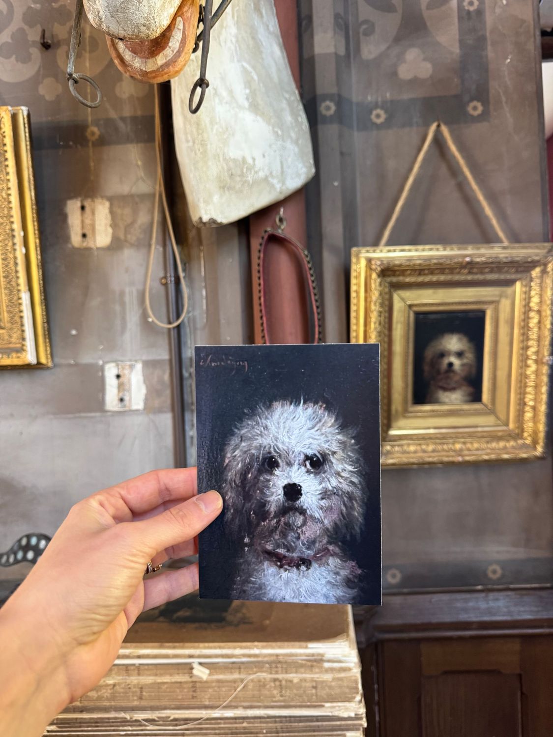 CARTE POSTALE - CHIEN MONSIEUR