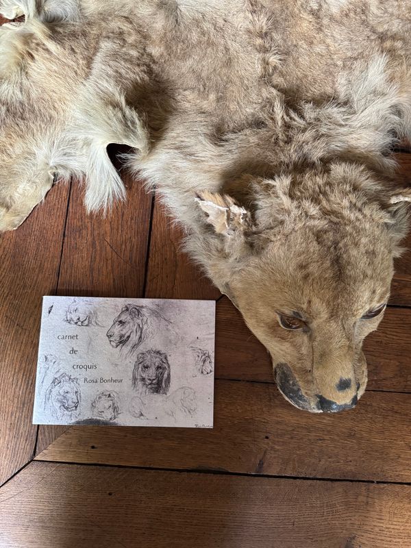 CARNET CROQUIS Lions - A PLANTER