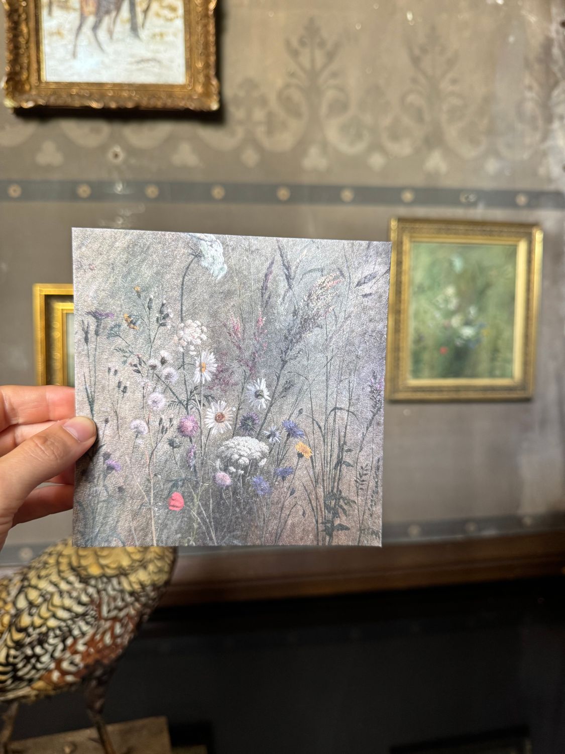 CARTE POSTALE - A planter - Etude de Fleur