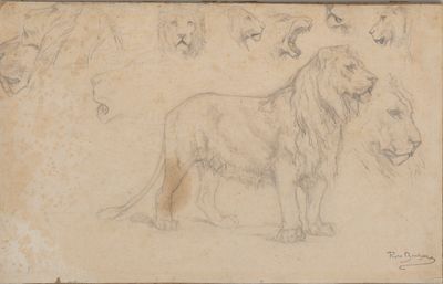 FAC-SIMILÉ - Etude de Lion - Sans Cadre FAC-SIMILÉ - Etude de Lion - Sans Cadre