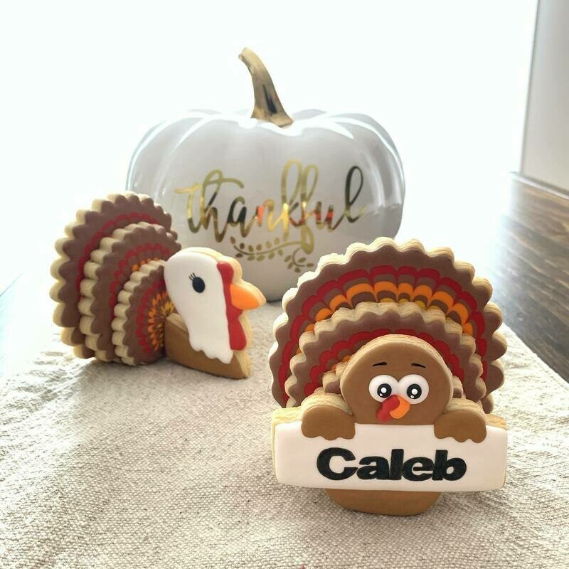 3D Turkey