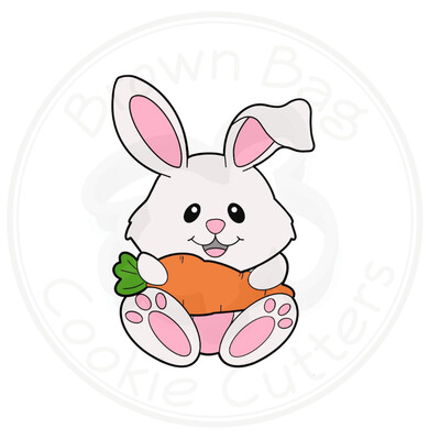 Easter Bunny Holding Carrot 3pc Box Set