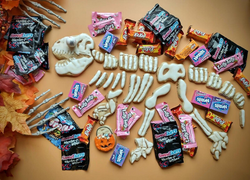 Build a Dinosaur Skeleton 