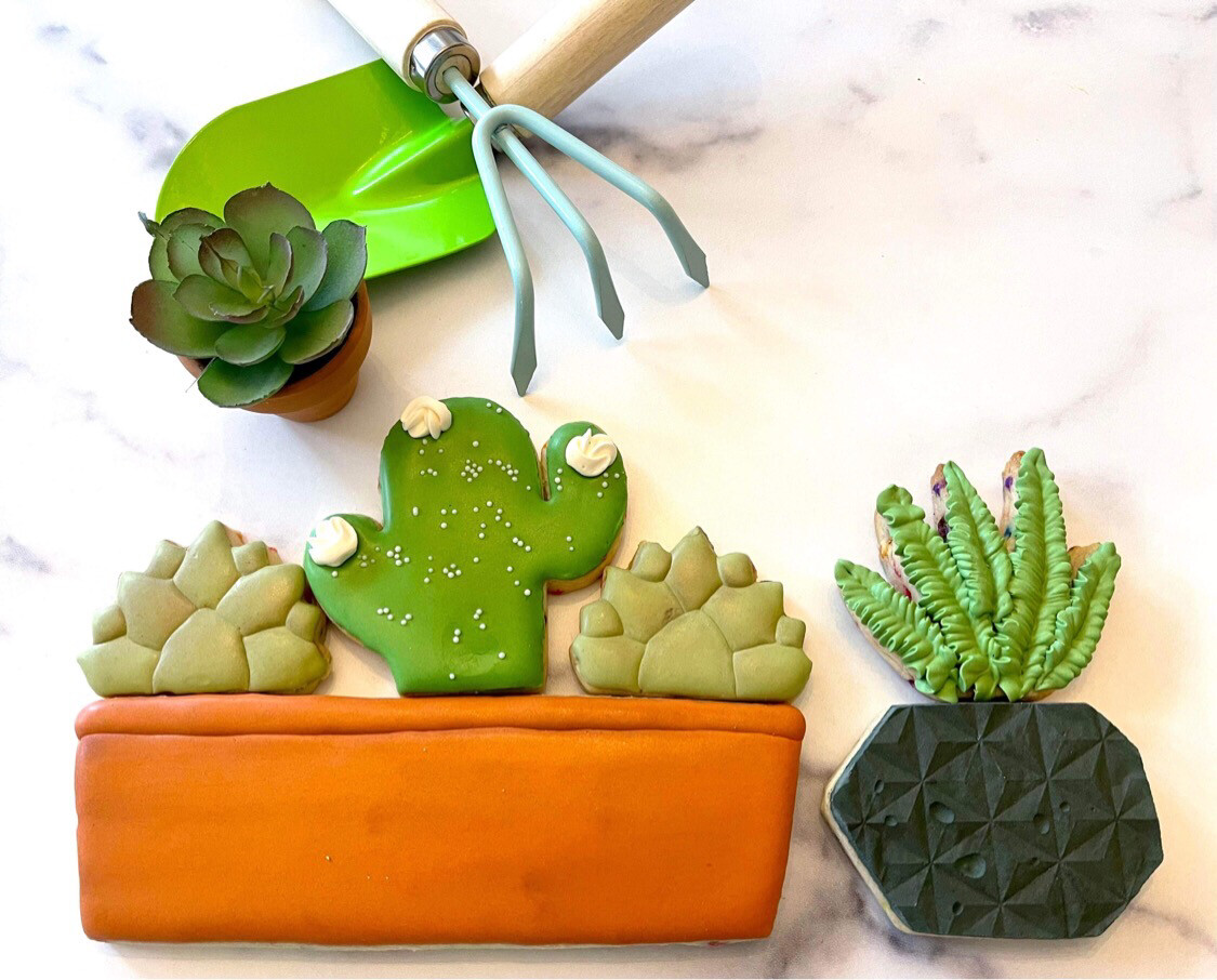 July Brown Bag - Succulent Mash Up