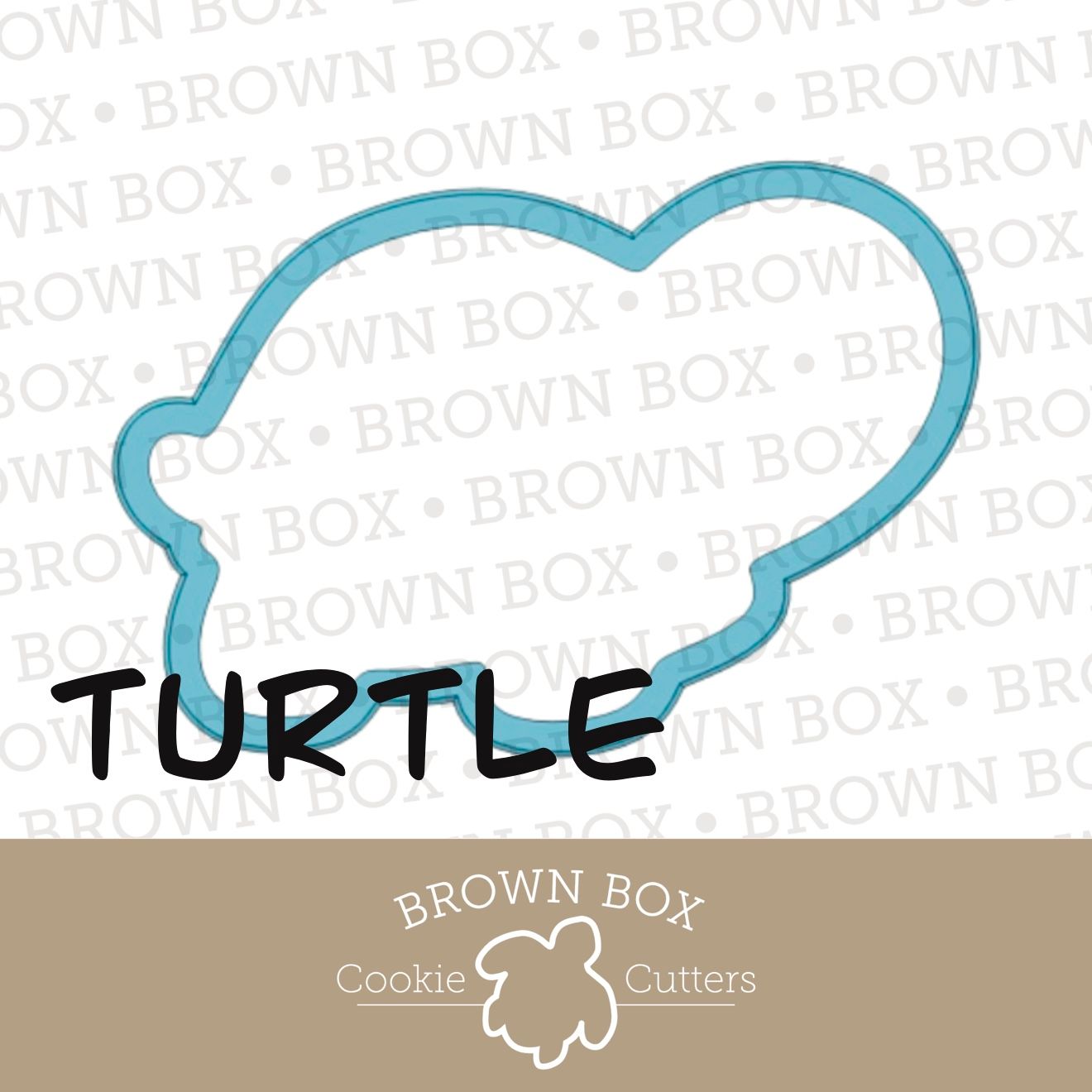 Turtle - Reptiles