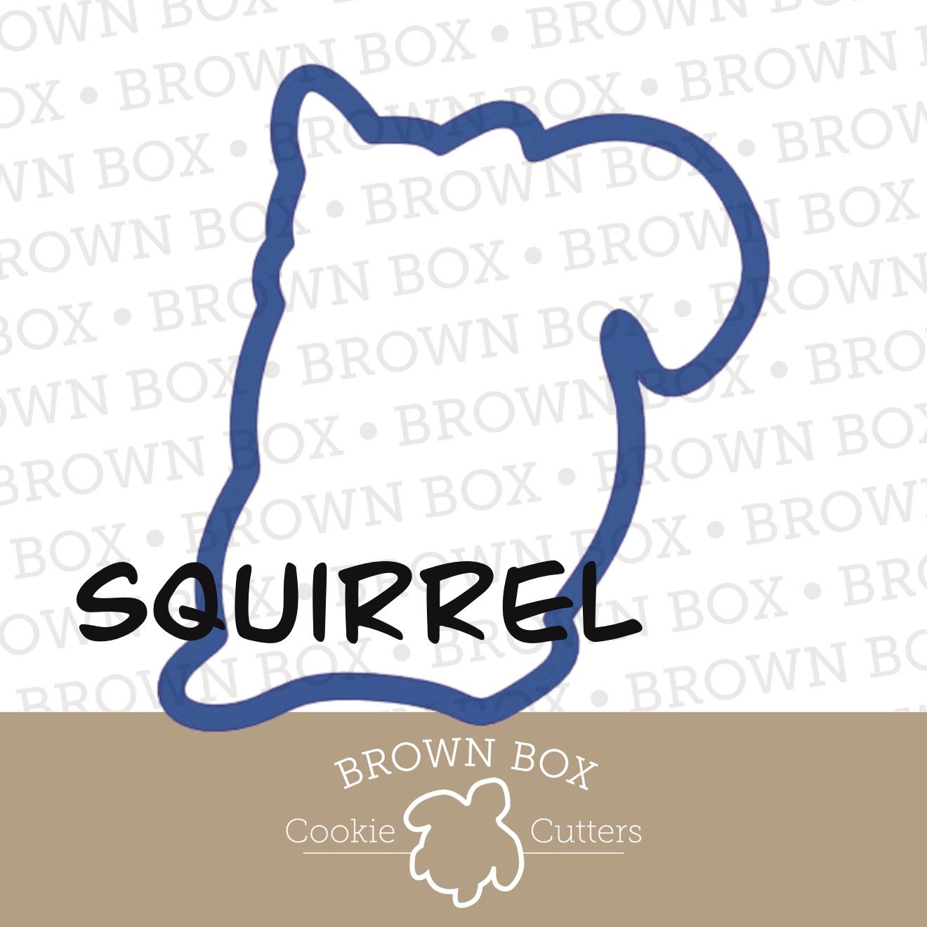 Squirrel - Woodland Animals