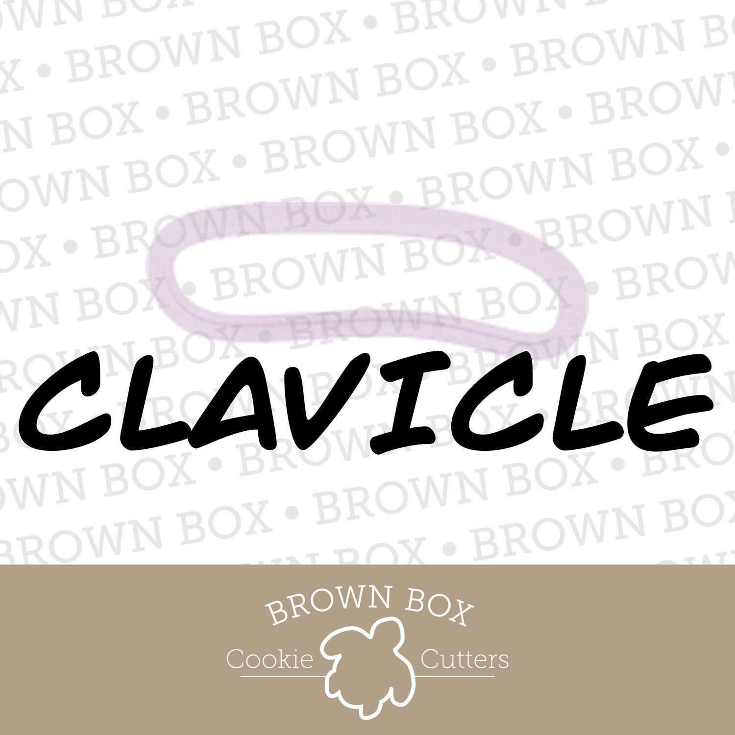 Clavicle