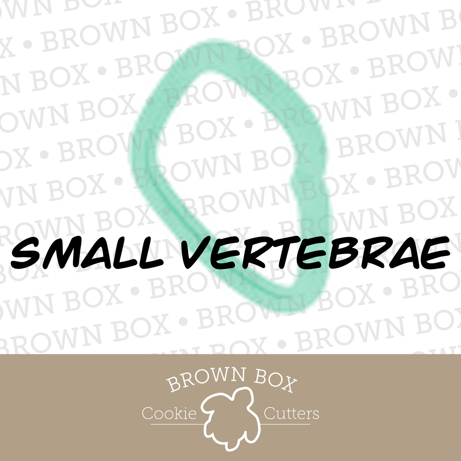 Small Vertebrae