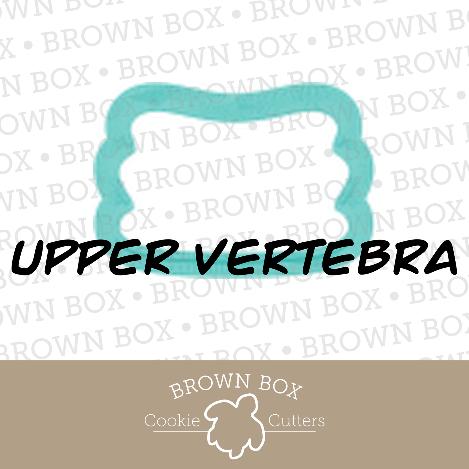 Upper Vertebra