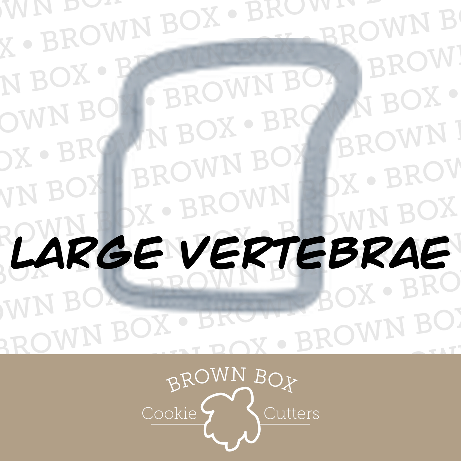 Large Vertebrae