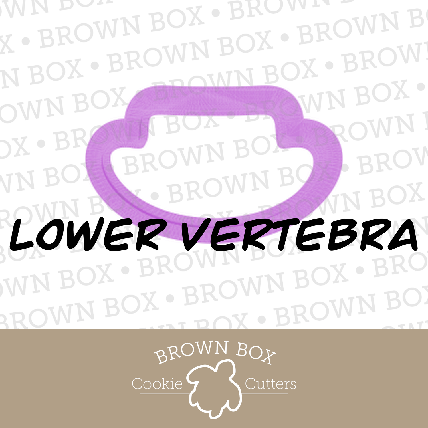 Lower Vertebra