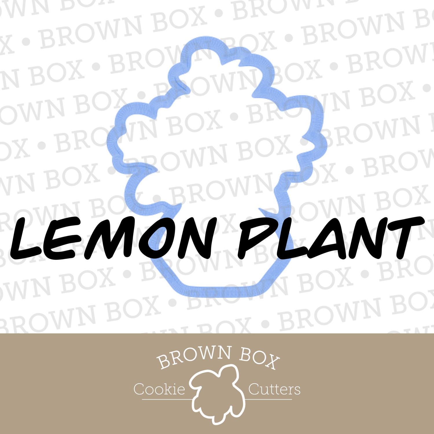 Lemon Plant