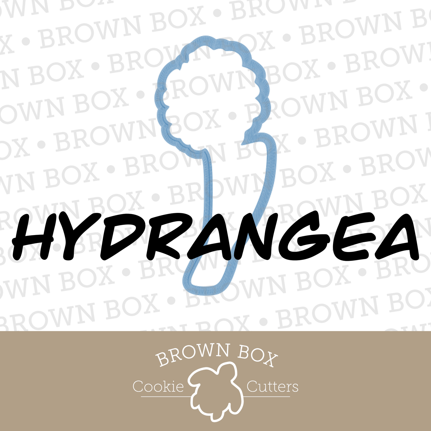 Hydrangea