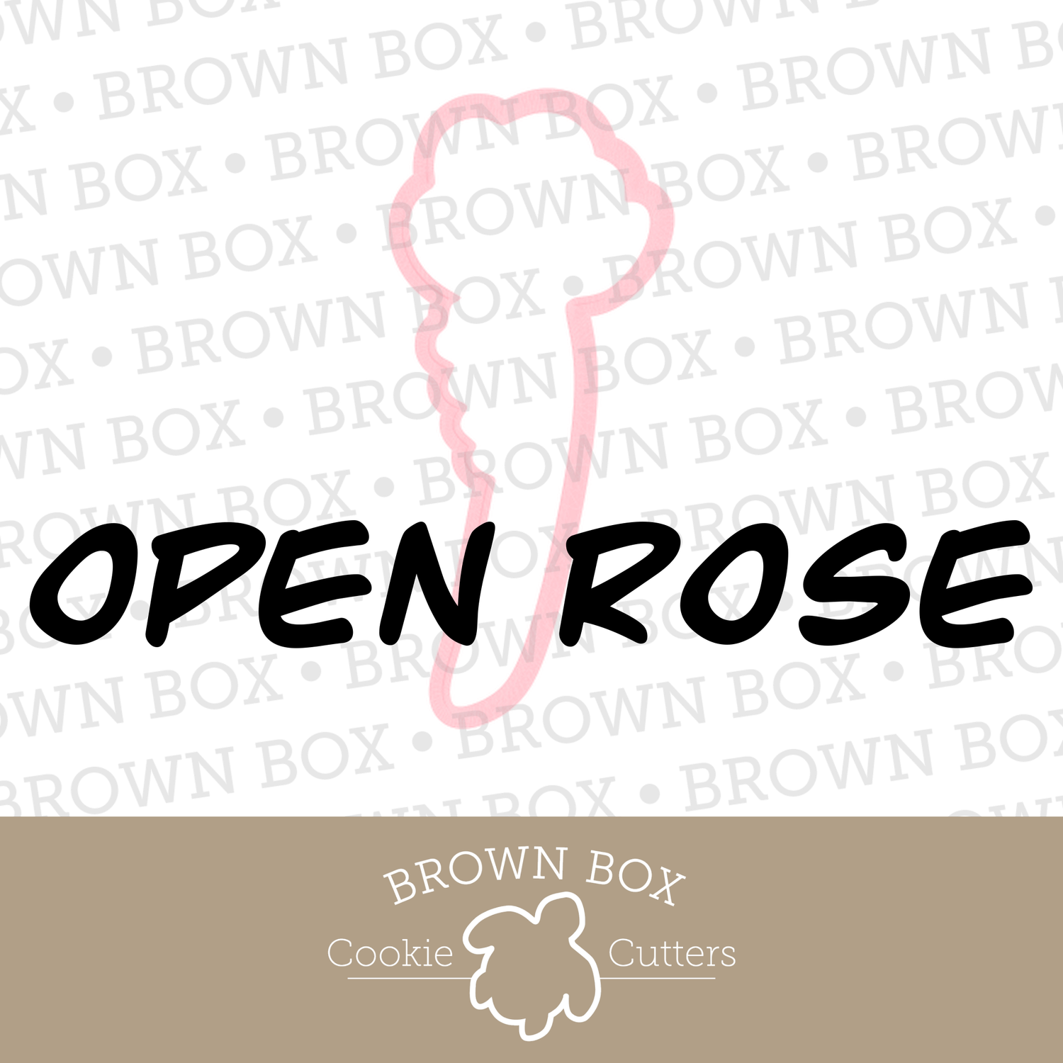 Open Rose