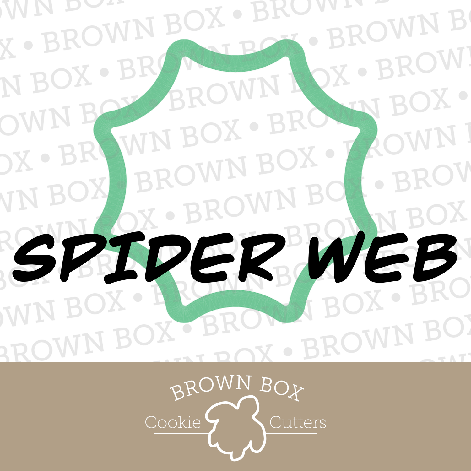 Spider Web
