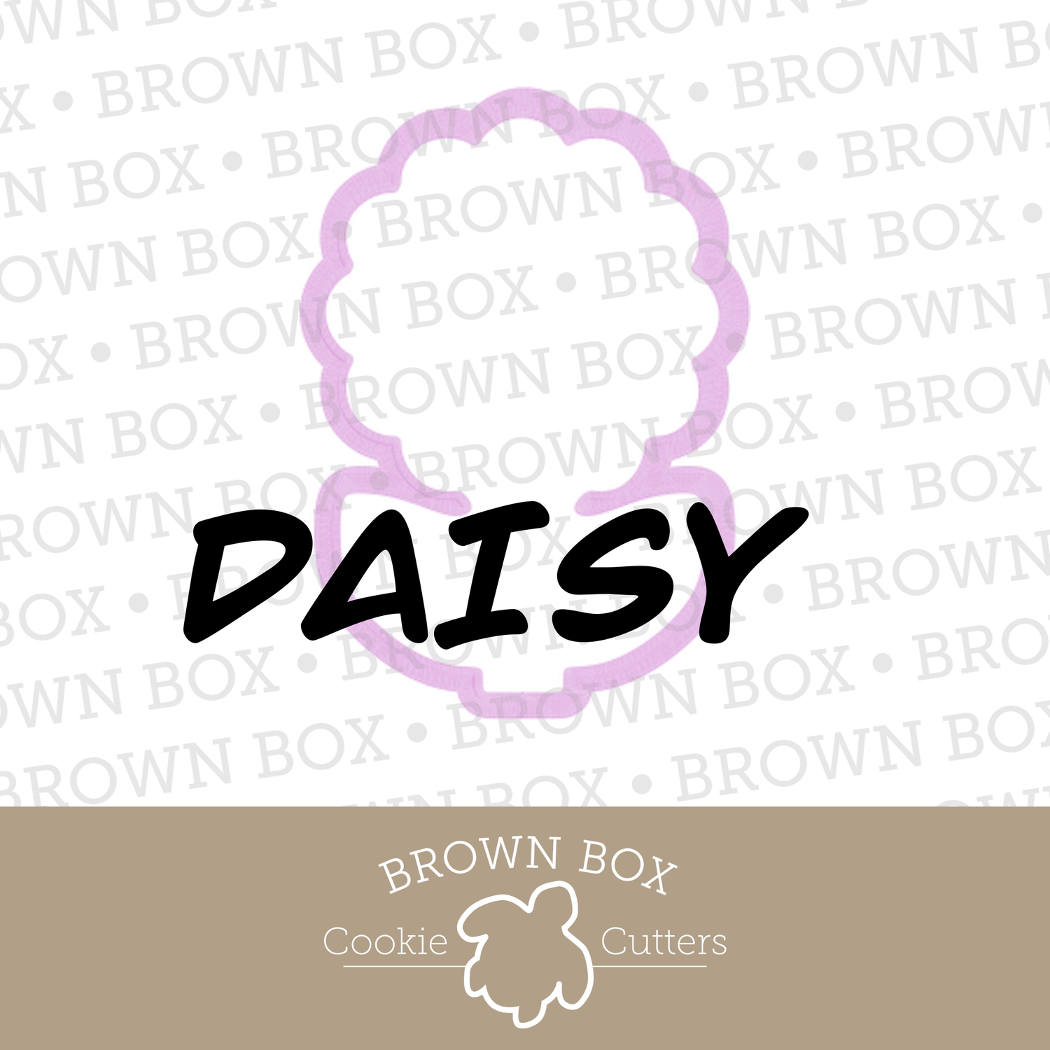 Daisy 