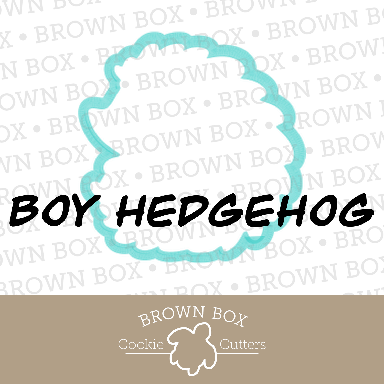Boy Hedgehog