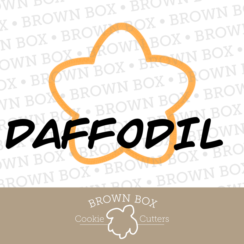 Daffodil 