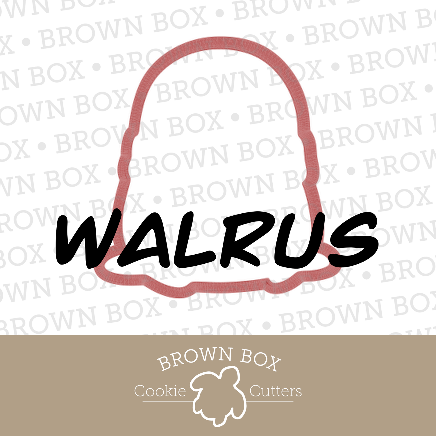 Walrus