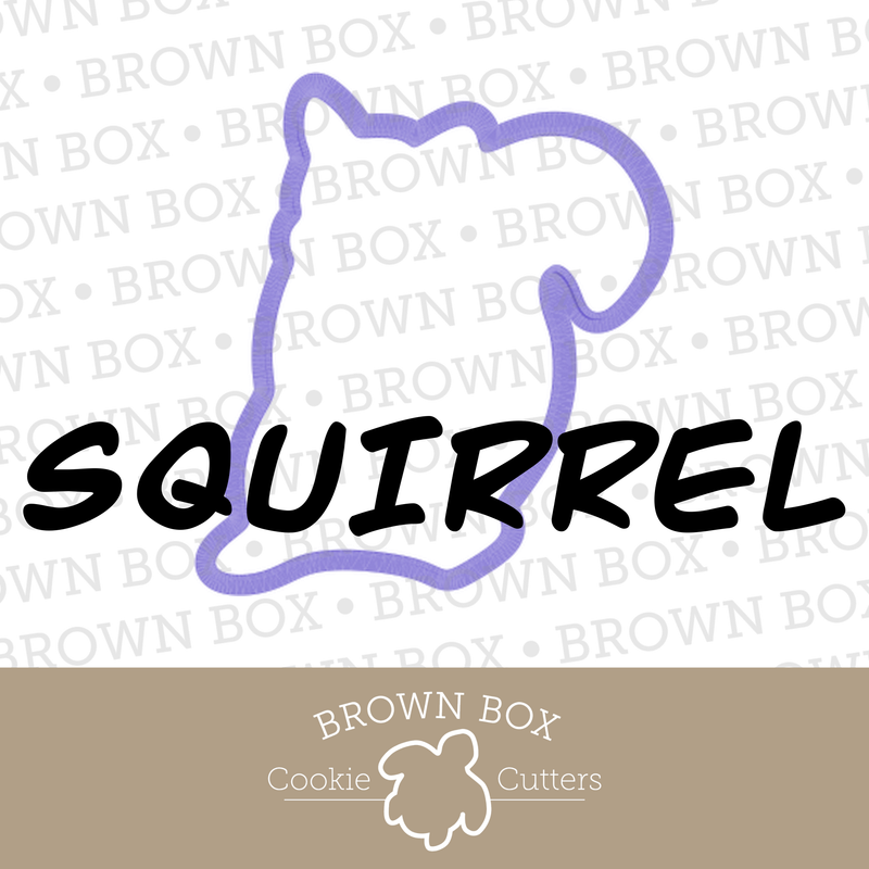 Squirrel