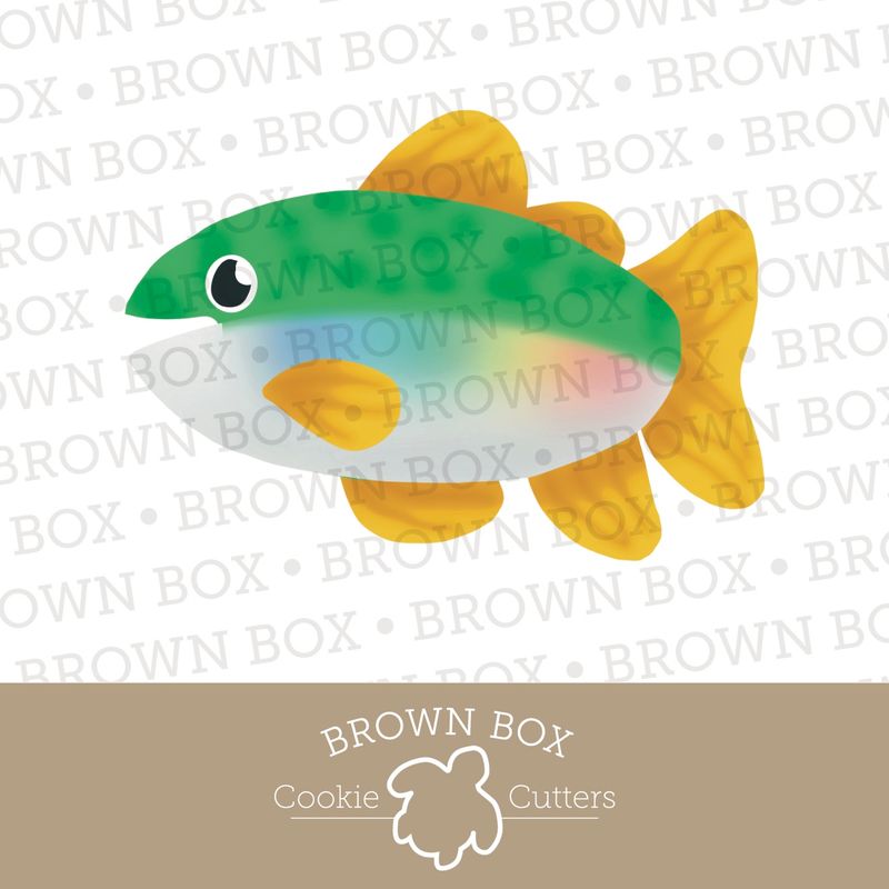 Fish - Fishing Basics