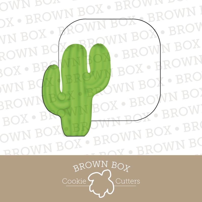 Cactus Frame - Charro Baptism