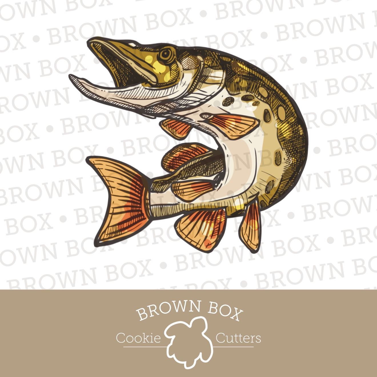 Pike - Fish