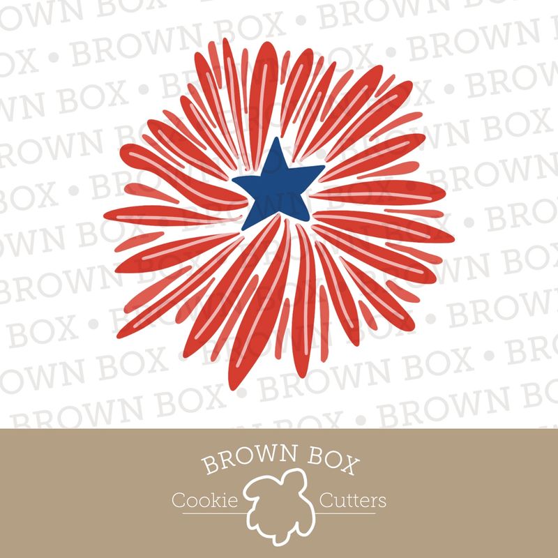 Firework - 4th of July
