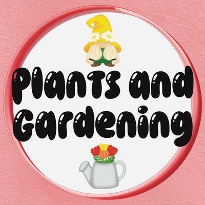 Plants And Gardening