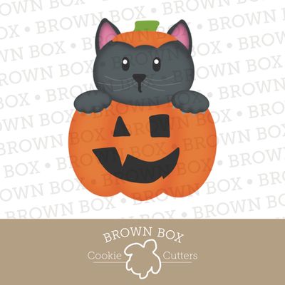 Cat in Pumpkin - Spooky Season