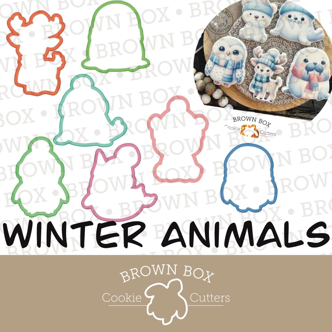 Winter Animals