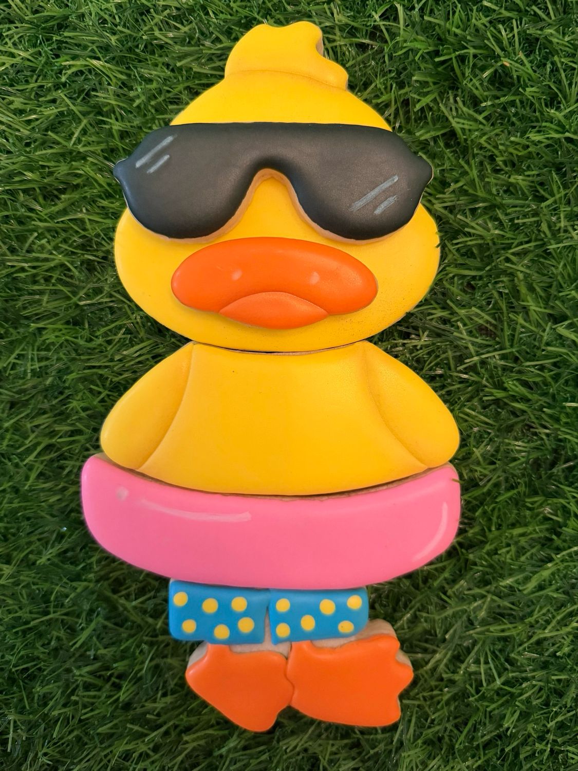 Summer Duck Puzzle Set