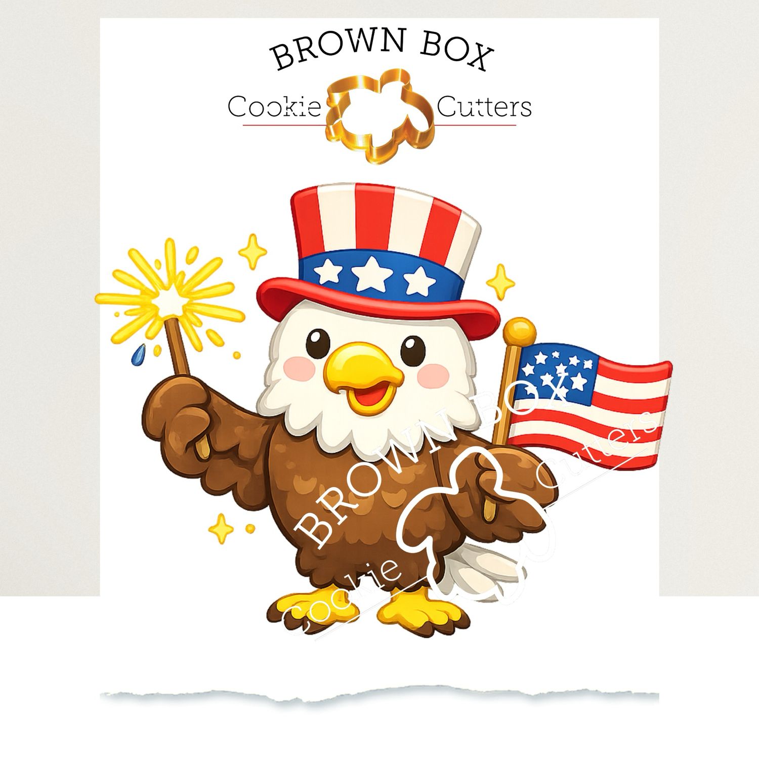 Patriotic Eagle Print Box Files Beta