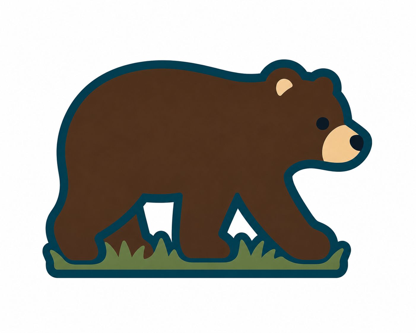 Montana Bear