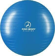 Pro Body Exercise Ball