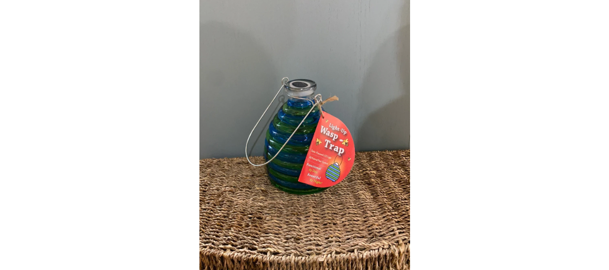 Solar Wasp Trap