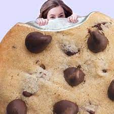 Cozy Cookie Blanket