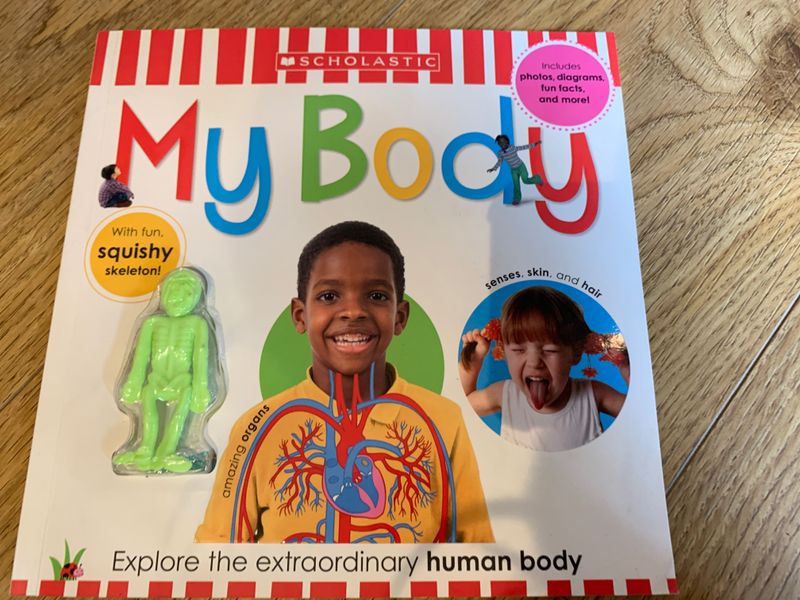 My Body (Scholastic)