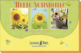 Hello Sunshine! 20 Greeting Card Assortment (LT) Hello Sunshine! 20 Greeting Card Assortment (LT)