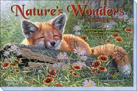 Nature's Wonders -20 Greeting Cards Assortment (LT) Nature's Wonders -20 Greeting Cards Assortment (LT)