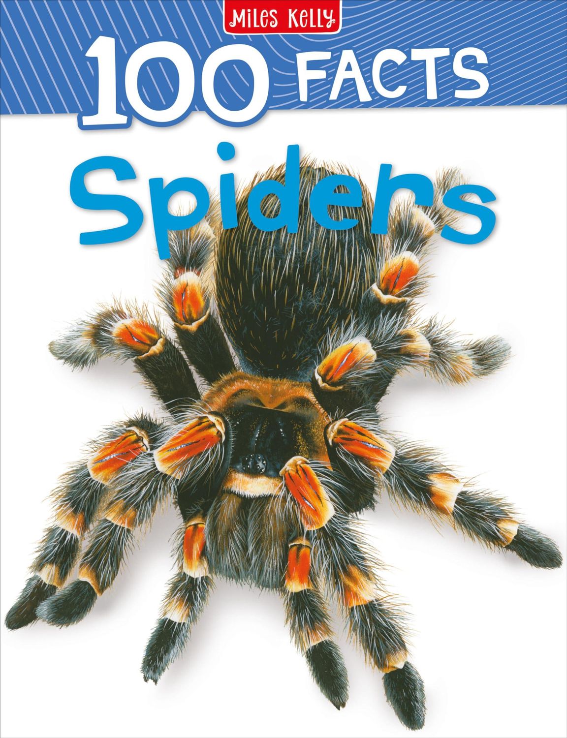 100 Facts Spiders 100 Facts Spiders