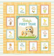 Baby's First Year - Owls
