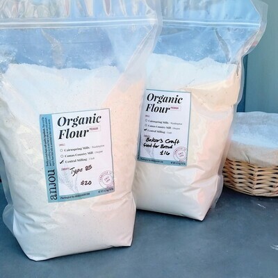 Premium Organic Flour